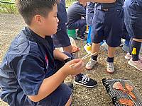 童軍團露營活動